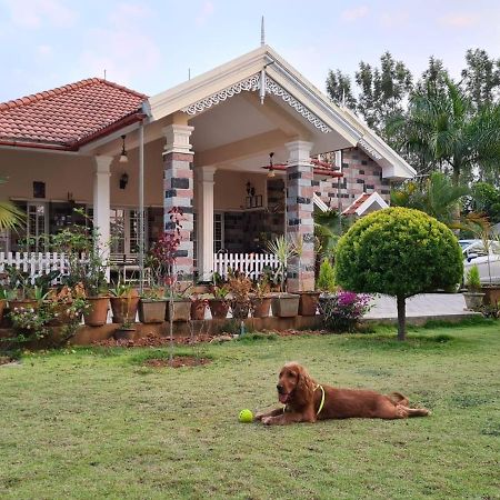 The Vintage Chikmagalur Apartman Kültér fotó