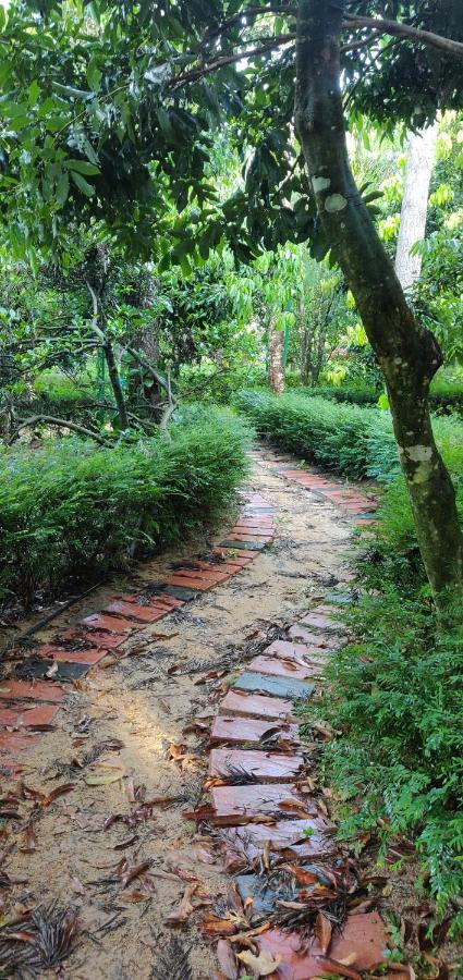 The Vintage Chikmagalur Apartman Kültér fotó